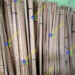 Photo 1688375700060 1688375903036